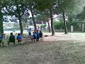exodus arrivo (5)
